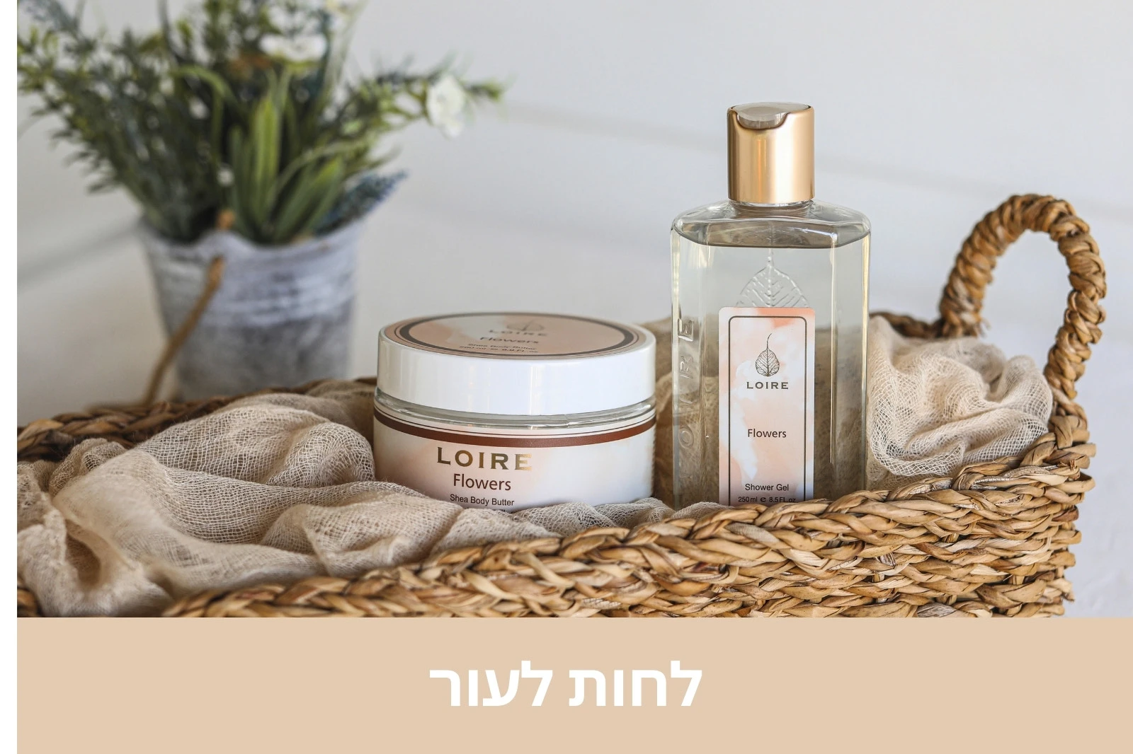 לואר - טיפוח בניחוח צרפתי - LOIRE - חנות אינטרנטית