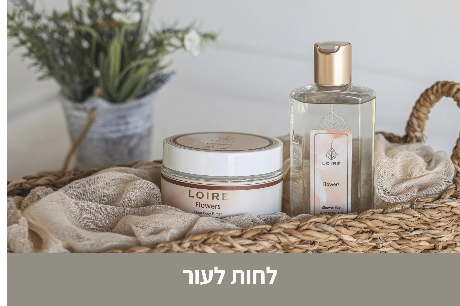 לואר - טיפוח בניחוח צרפתי - LOIRE - חנות אינטרנטית