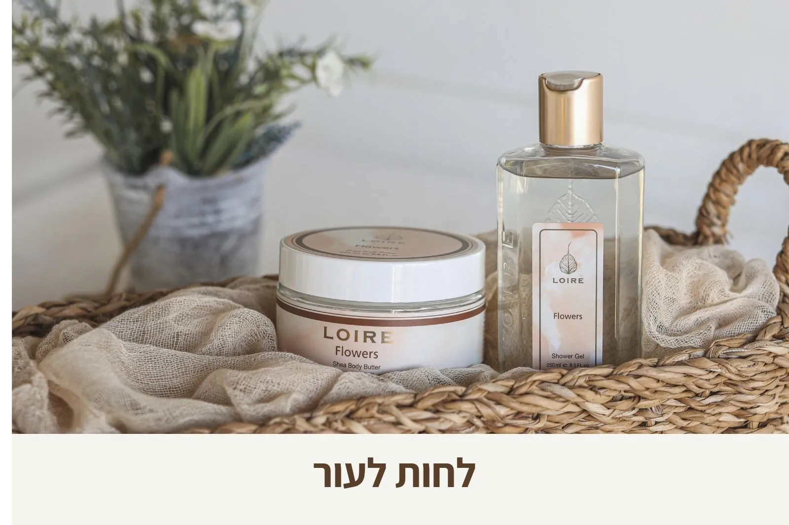 לואר - טיפוח בניחוח צרפתי - LOIRE - חנות אינטרנטית