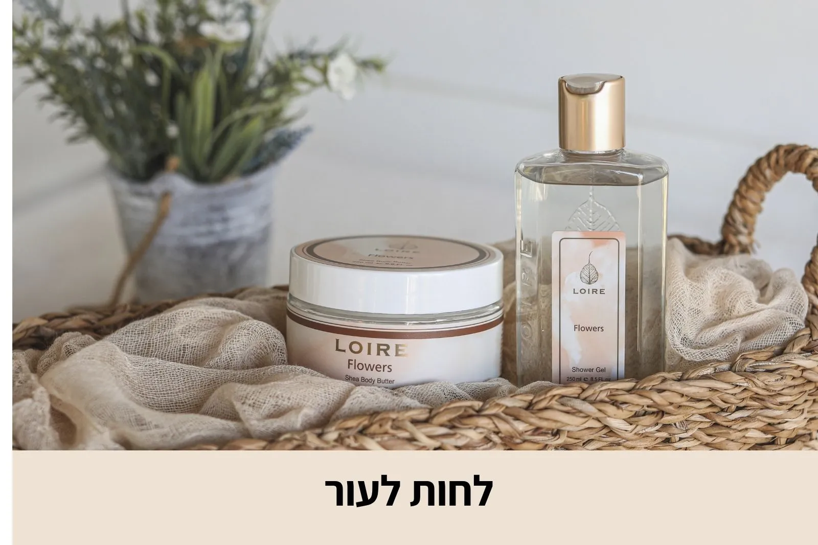 לואר - טיפוח בניחוח צרפתי - LOIRE - חנות אינטרנטית